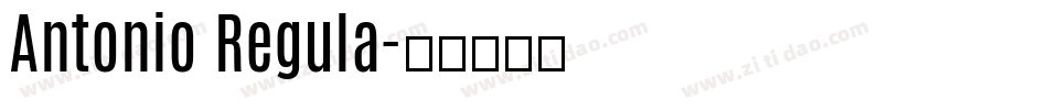 Antonio Regula字体转换